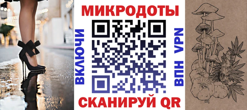 купить цена Тара Галлюциногенные грибы Cubensis